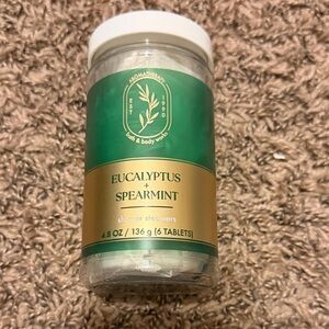 Bath & Body Works Eucalyptus + Spearmint Shower Steamers